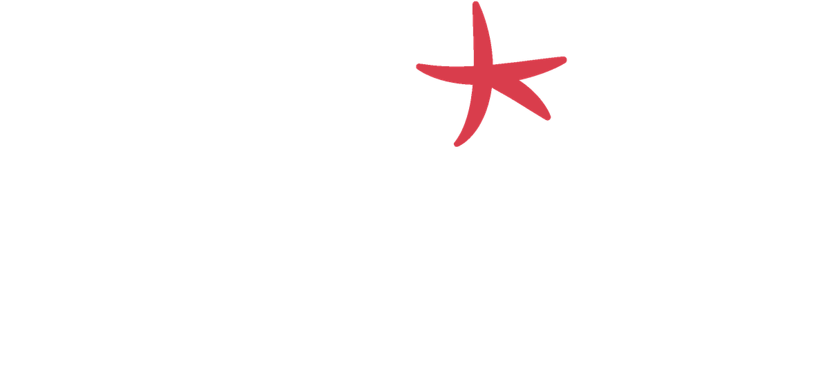 Accéder au site internet de Linkiaa